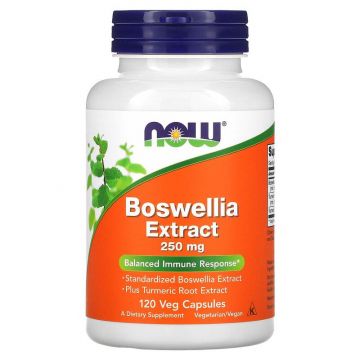 Boswellia Extract 250 mg van Now Foods is goed voor behoud van sterke botten en soepele gewrichten.