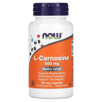 NOW Foods L-Carnosine 500 mg. 733739000781