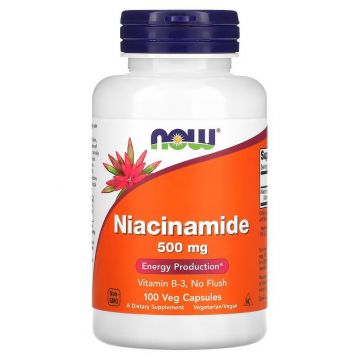 NOW Foods Niacinamide (vitamine B3). 733739004789