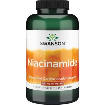 Swanson Niacinamide 500 mg - 250 Capsules. 087614010526