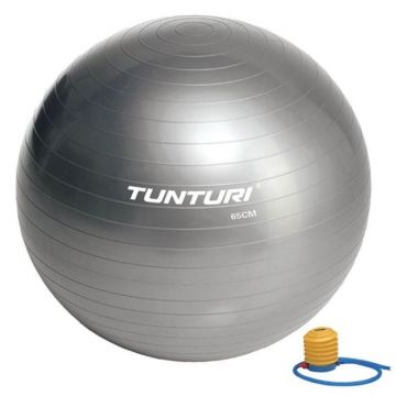 tunturi fitness bal zilver