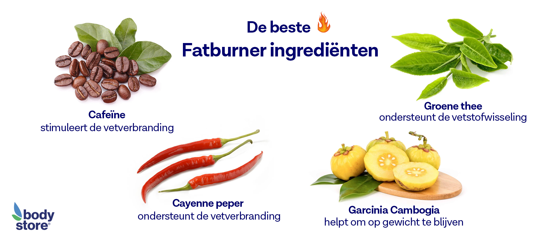 De beste fatburner ingrediënten